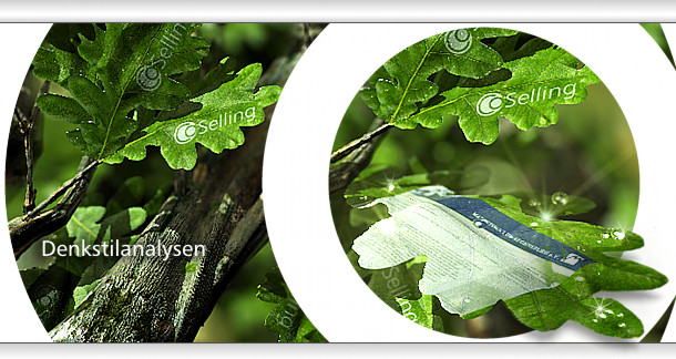 CoSelling® - Neues Serviceangebot: Terminvereinbarungen für kleinere Unternehmen CoSelling® - Neues Serviceangebot: Terminvereinbarungen für kleinere Unternehmen